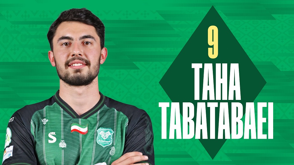 طاها طباطبایی