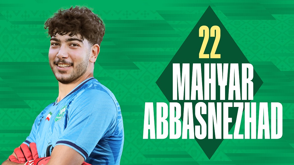 مهیار حسن نژاد